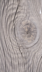 Similar image 100664