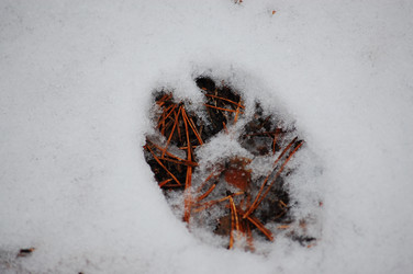 Similar image 100694