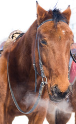 Similar image 100695