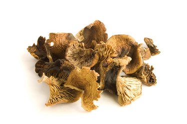 Similar image 100707