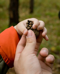 Similar image 100717