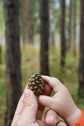 Similar image 100719