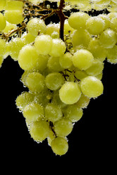 Similar image 100763