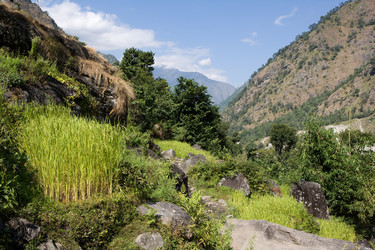 Similar image 100788