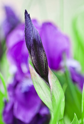 Similar image 100790