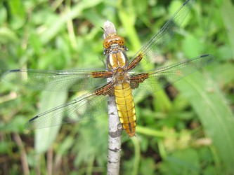 Similar image 100792