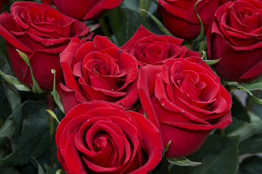 Similar image 100794