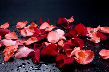 Similar image 100811