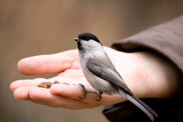 Similar image 100812