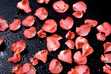 Similar image 100832