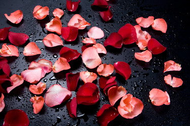 Similar image 100833