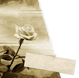 Similar image 100865