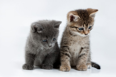 Similar image 100886