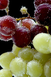 Similar image 100900