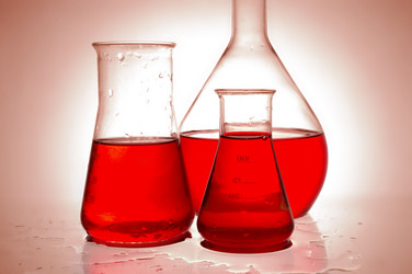 Similar image 100911