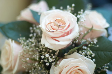 Similar image 100924