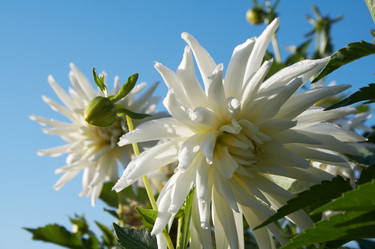 Similar image 100945