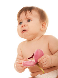 Similar image 100966