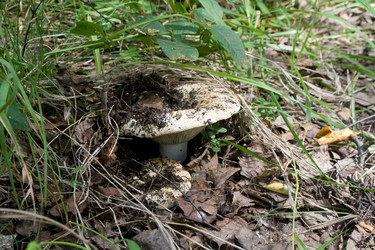 Similar image 100968