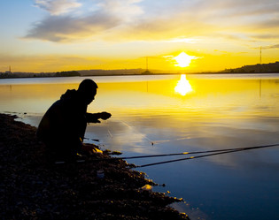 Similar image 100979