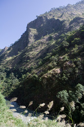 Similar image 101002