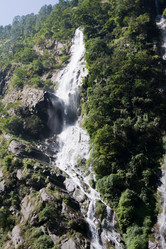 Similar image 101009