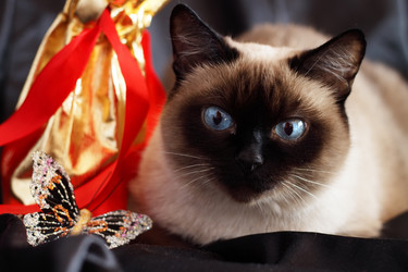 Similar image 101019