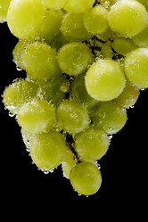 Similar image 101048