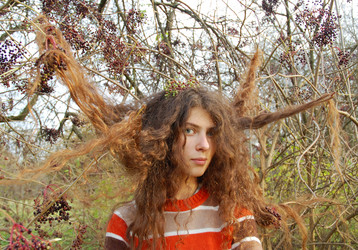 Similar image 101059