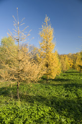 Similar image 101064