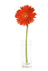 Similar image 101068