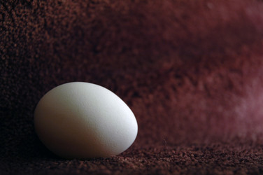 Similar image 101135