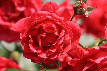 Similar image 101146