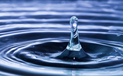 Similar image 101152