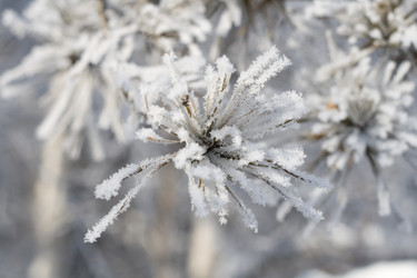 Similar image 101155