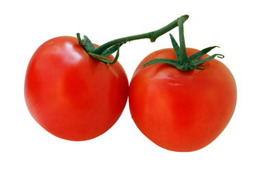 Similar image 101193