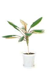 Similar image 101263