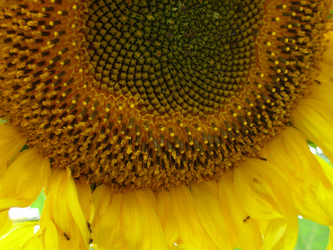 Similar image 101288