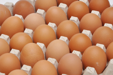 Similar image 101306