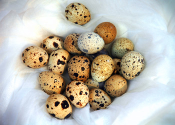 Similar image 101311