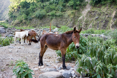 Similar image 101361