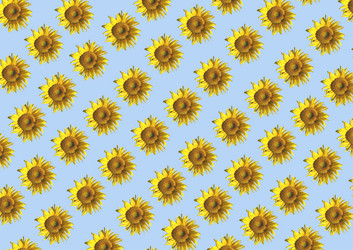 Similar image 101385