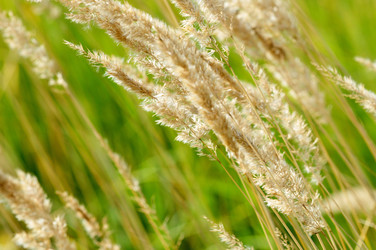 Similar image 101390