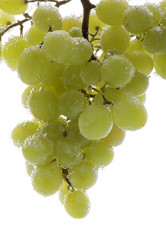 Similar image 101462