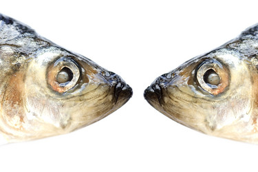 Similar image 101464