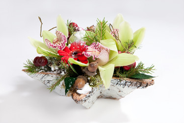 Similar image 101469