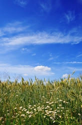 Similar image 101505