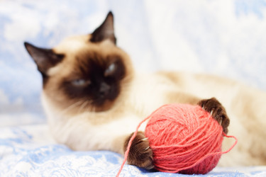 Similar image 101517