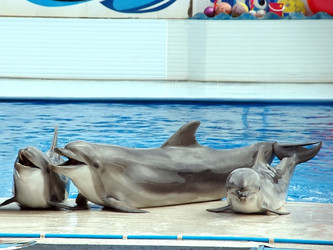 Similar image 101530