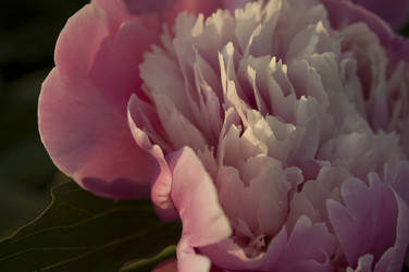 Similar image 101537